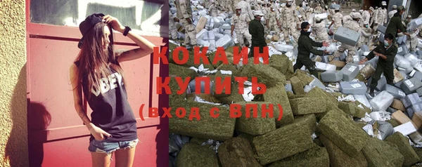 прущий лед Алзамай