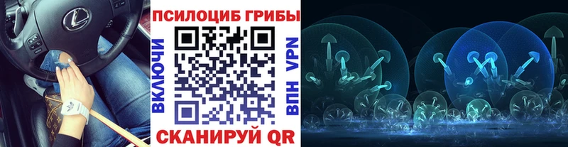Псилоцибиновые грибы ЛСД KRAKEN как войти Михайловск