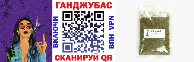МЕГА зеркало  Михайловск  Конопля семена 